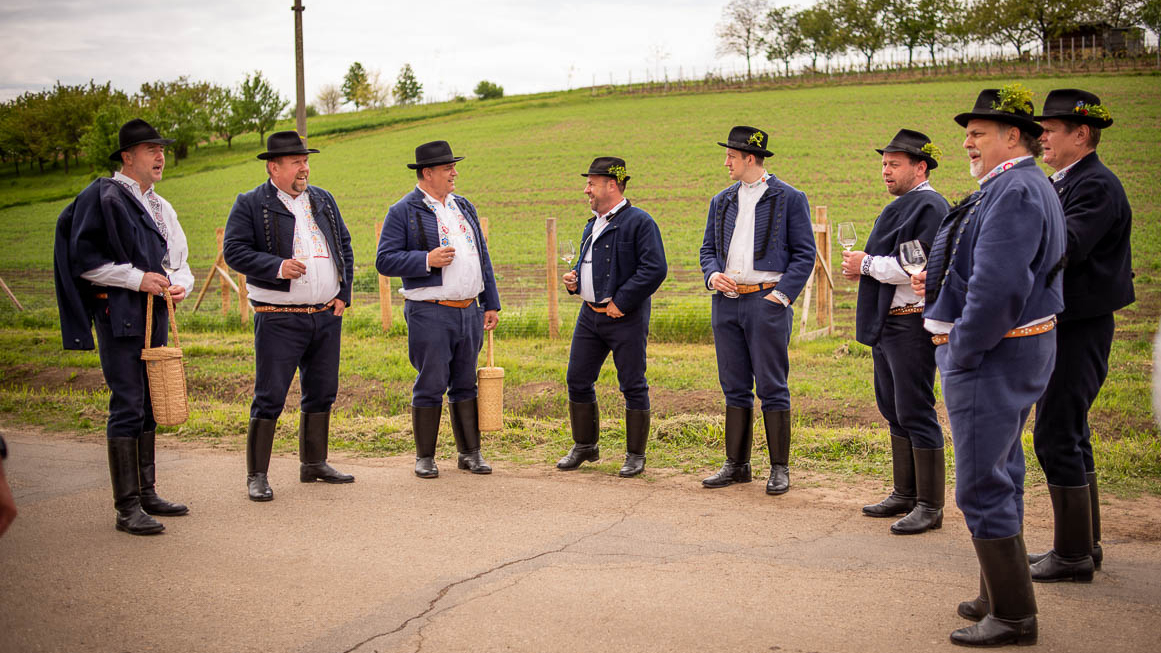 Výstava vín Hovorany 2024