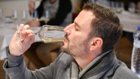 VOC Znojmo uvede na trh 44 nově zatříděných vín