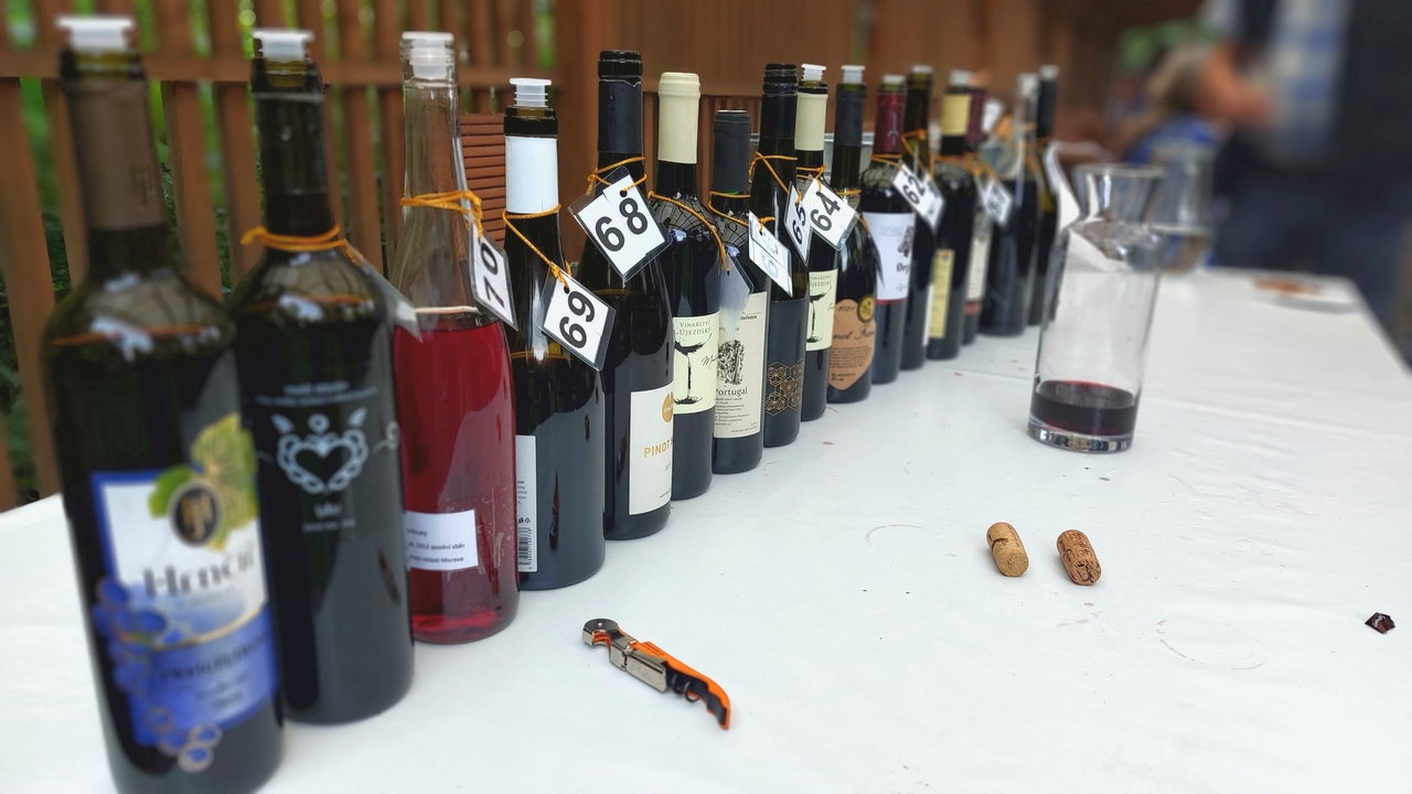 Vína vybraná ženami – večer s víny ze soutěže Meditrina