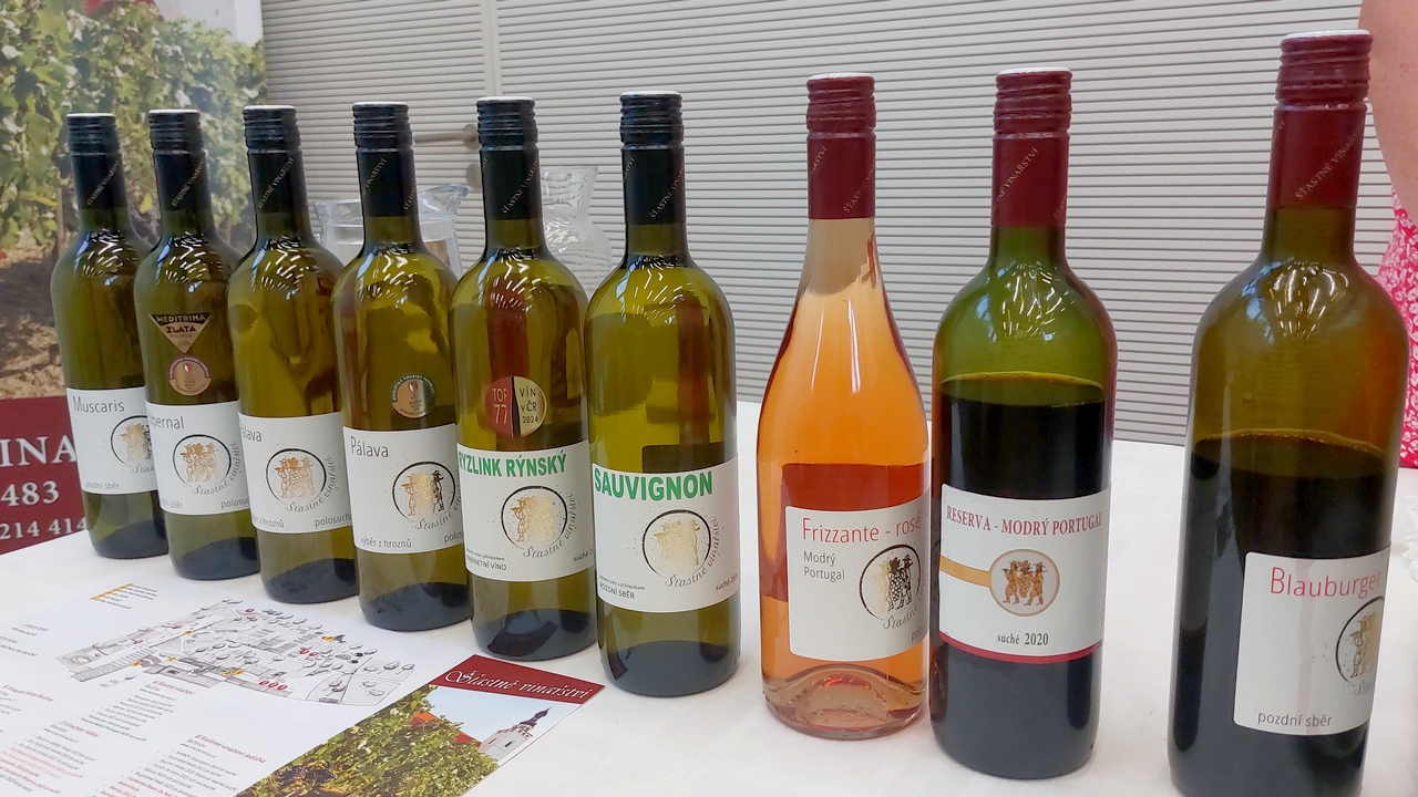 Vína vybraná ženami – večer s víny ze soutěže Meditrina