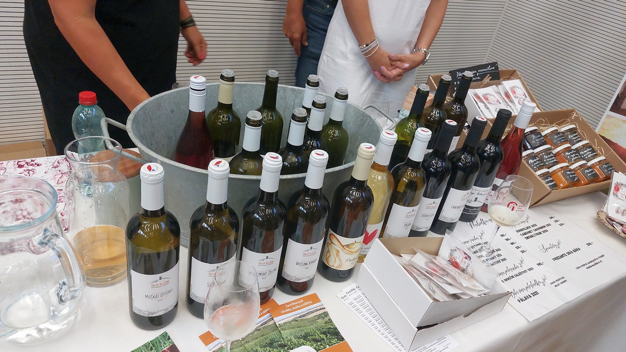Vína vybraná ženami – večer s víny ze soutěže Meditrina
