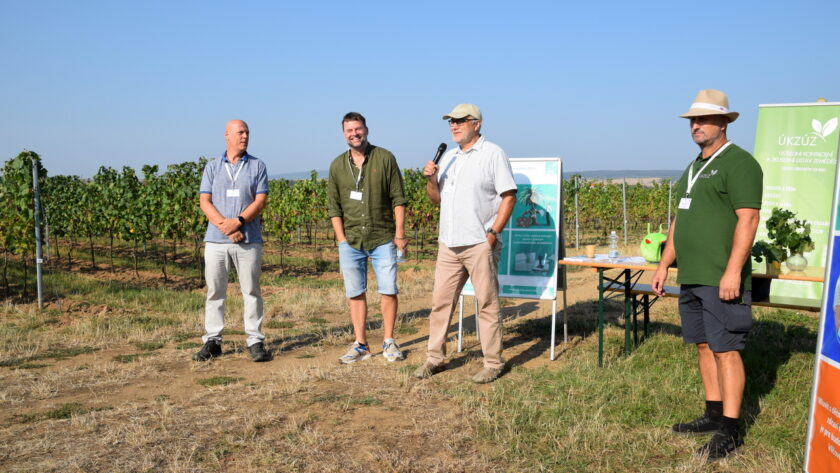 Produkci vinohradů ohrožuje fytoplazma zlatého žloutnutí révy