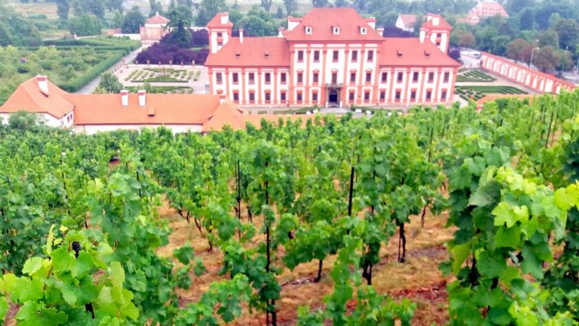 Vinařská mapa se rozšiřuje o nové vinice v Praze, Brně či na Hané