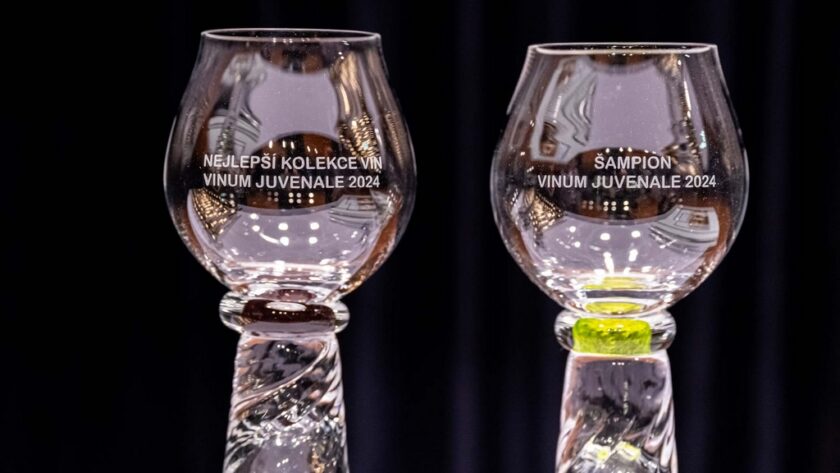 Výsledky soutěže mladých vín Vinum Juvenale 2024