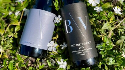 Úspěch na soutěži Le Mondial des Vins Blancs Strasbourg 2025