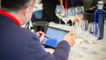 Mezinárodní úspěchy tuzemských vinařů na Bacchus Madrid 2025