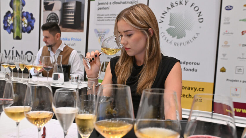 Král vín 2025 vyhlásil vítěze