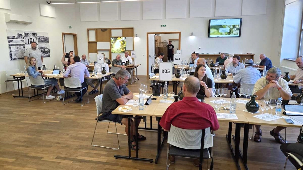 PIWI International Wine Challenge 2025: vynikající kvalita vín