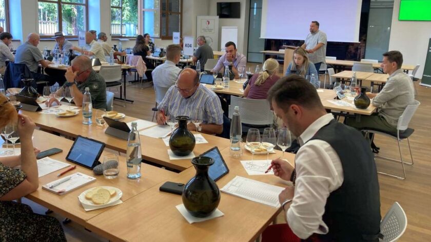 PIWI International Wine Challenge 2025: vynikající kvalita vín