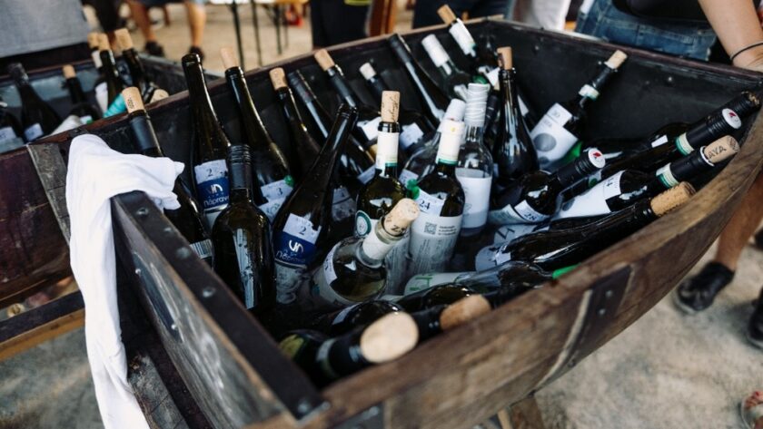 Kdy a kam za vínem letos v září?