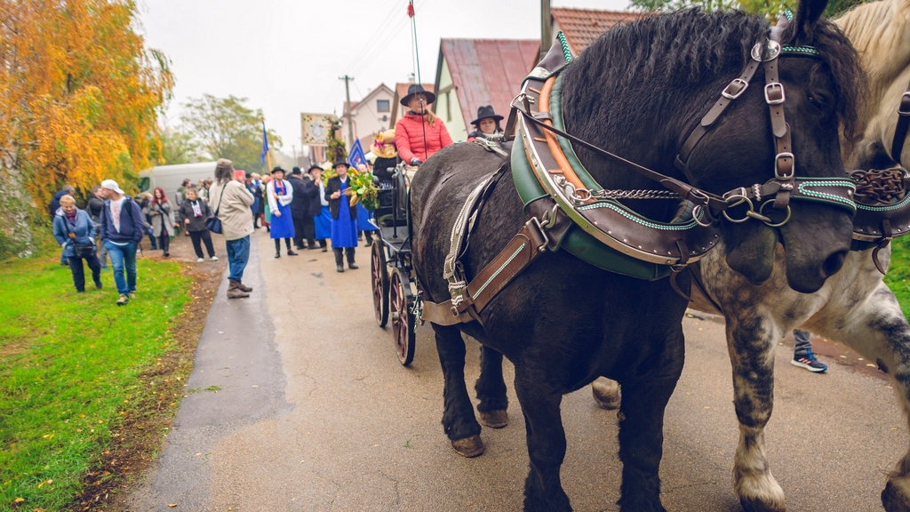Vrbovecké vinobraní