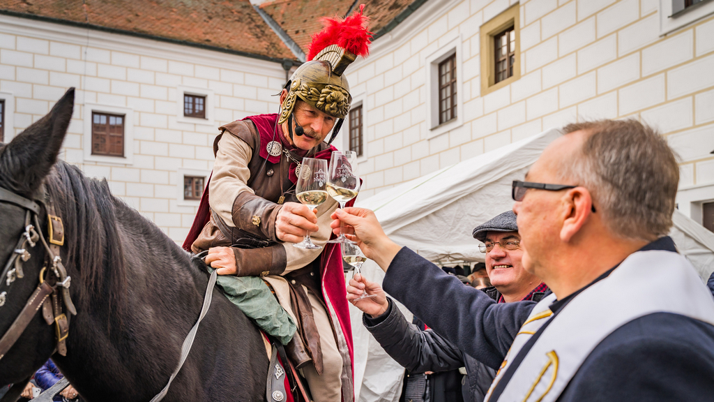 Svatomartinská a mladá vína Čejkovice 2025