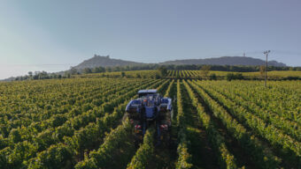 Bohemia sekt zpracoval rekordních osm milionů kilogramů hroznů