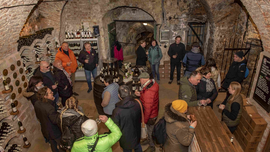 Den otevřených sklepů VOC Valtice 2025