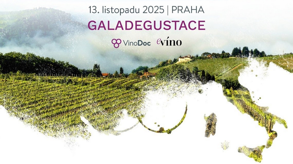 Galadegustace společnosti VinoDoc 2025