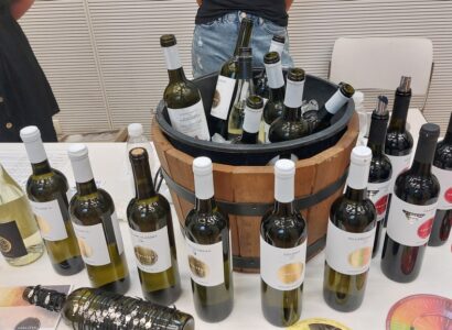 Víno z blízka - Večer s vinaři z okolí Brna (3. 7. 2025) - Vinařství Koblížek, Rosice