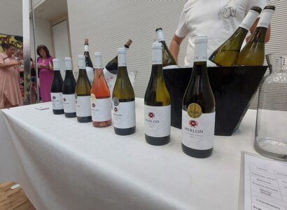 Víno z blízka - Večer s vinaři z okolí Brna (3. 7. 2025) - Vinařství Merlon, Žabčice