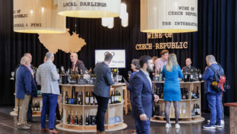 Exportní strategie našich vín