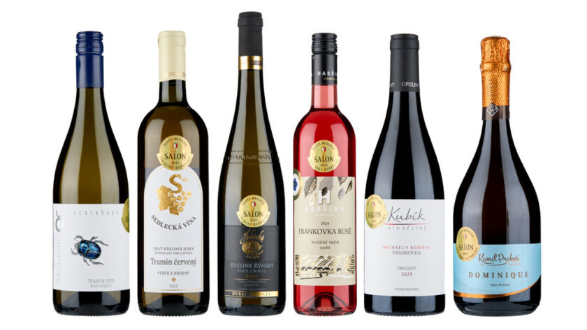 Salon vín 2026