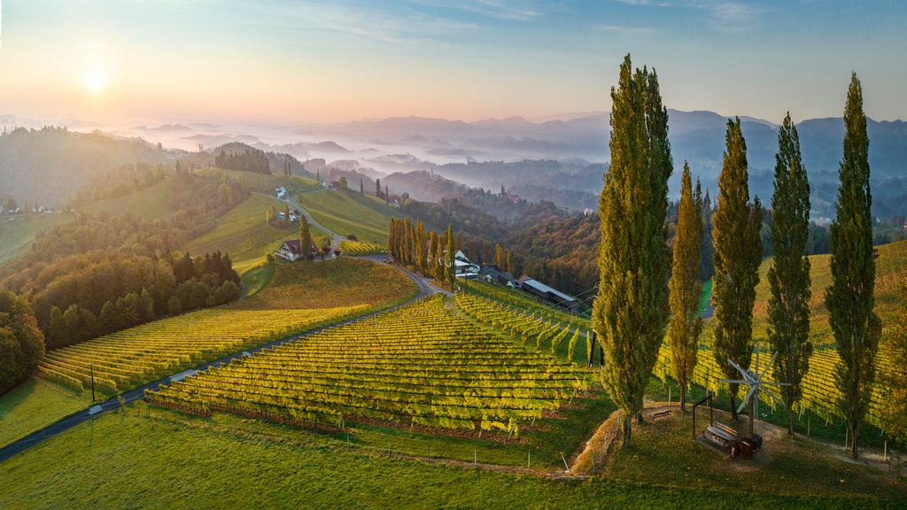 Ried Lubekogel u obce Gamlitz v Südsteiermark DAC ve Štýrsku (Rakouská vína 2025) - foto Austrian Wine - WSNA