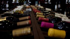 Světový den Malbecu – historie, původ a charakteristika odrůdy