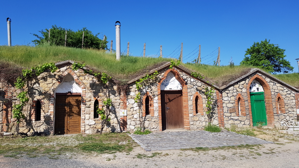 Na Vrbicu pro opicu 2026