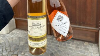 Vinný týden (24): Galicja Vitis v Polsku, DWWA, Kázání ve vinici
