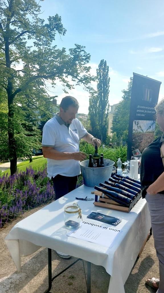 Víno v rytmu swingu - Vinařství Svoboda