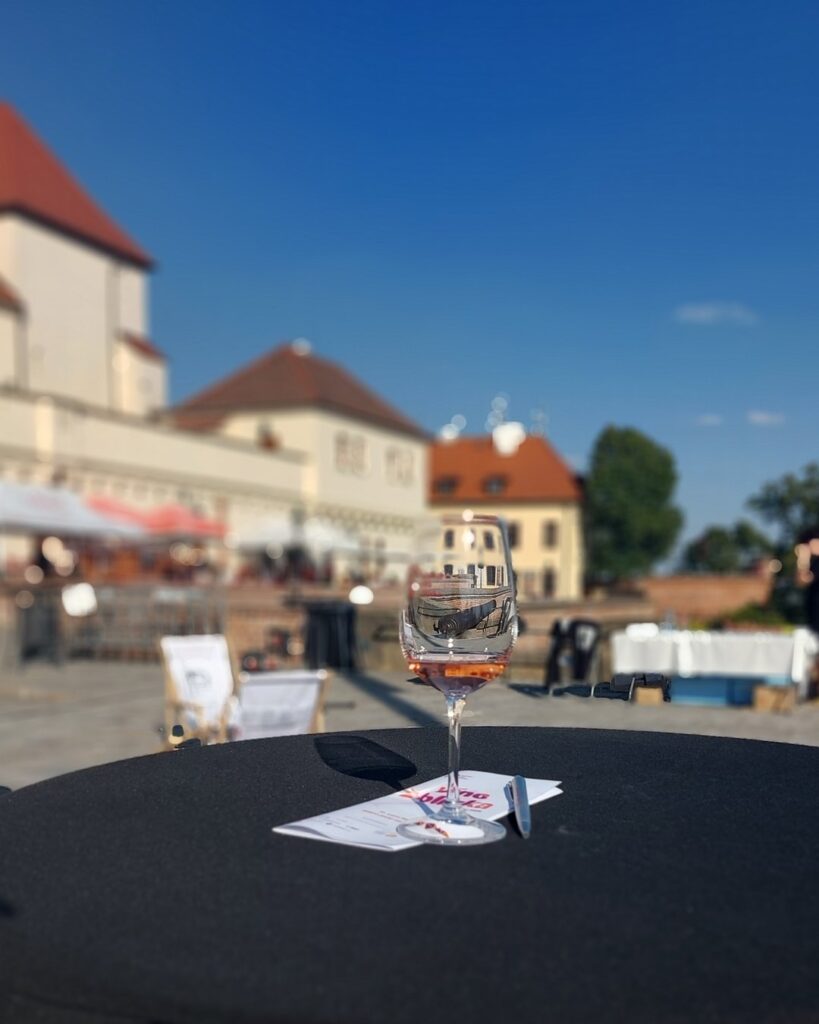 Salon vín na Špilberku